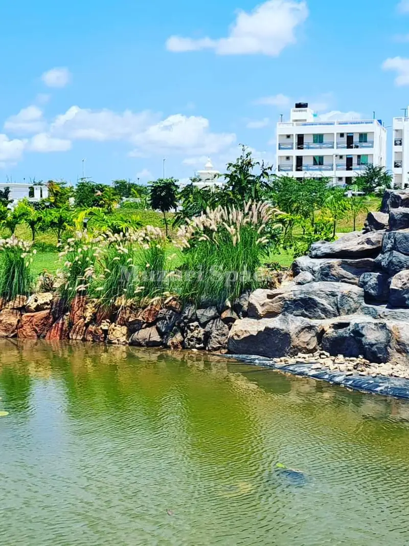Pond with a stacked coral-rock waterfall and fountain grass