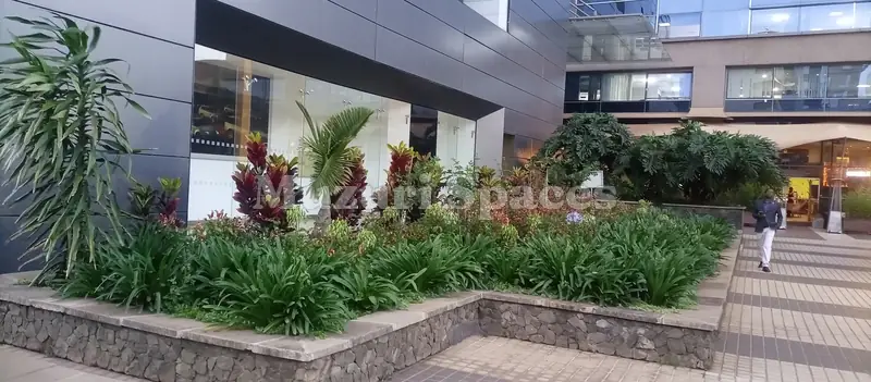 Stone-edged planting beds at an office entrance plaza