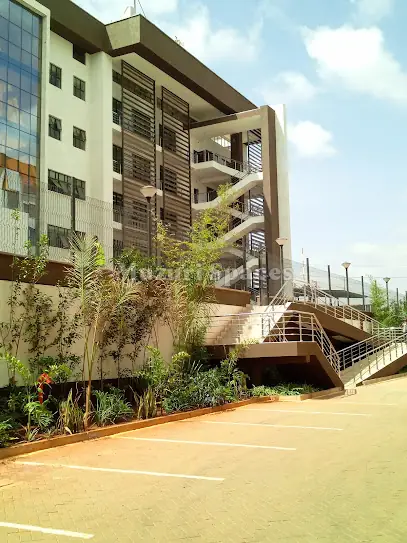 Planting at the base of apartment blocks, Freedom Heights