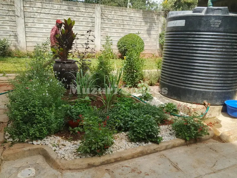 After: The bed by the water tank after rehabilitation: layered shrubs and white pebble mulch