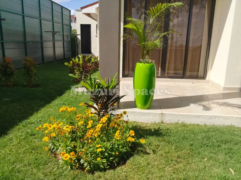 Planted bed with a tall green pot and yellow daisies, Machakos