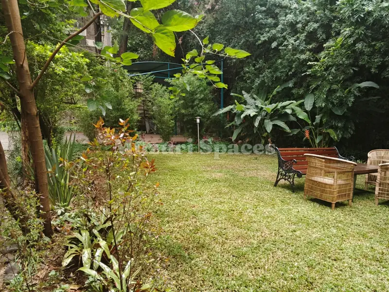 Mature residential garden with lawn, seating and layered tropical planting, Nairobi