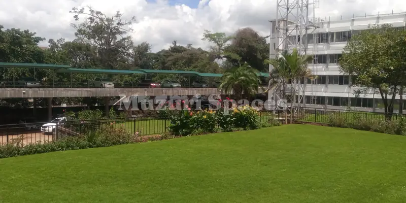 After: NIA headquarters after landscaping: finished lawn and planting beside the parking canopy